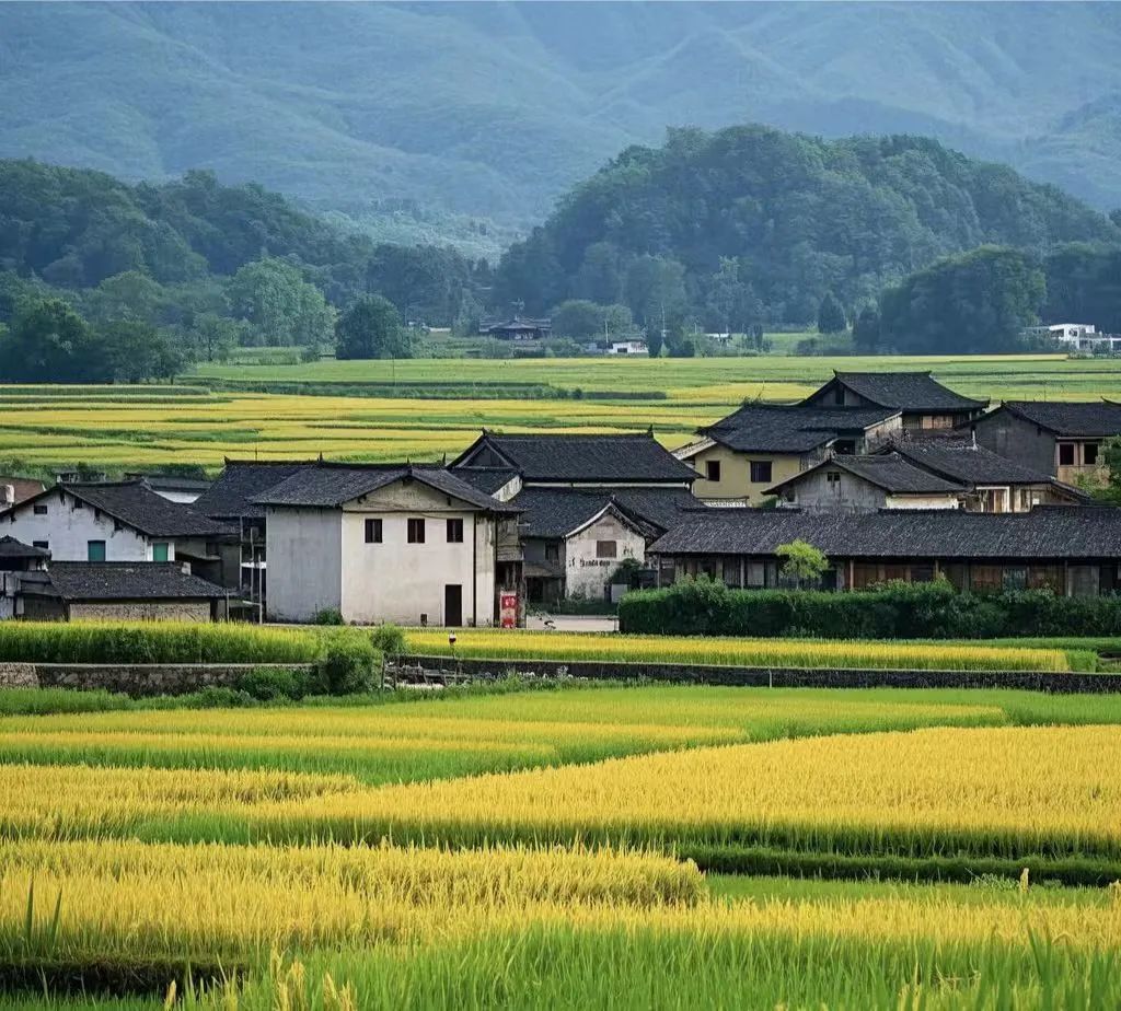 别再只认“有机”了！功能性农产品凭什么成为餐桌新宠？