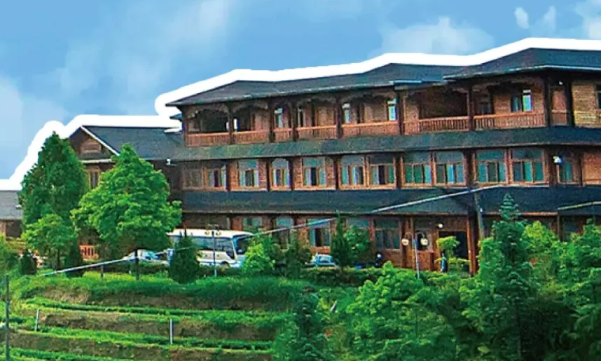 为什么说农文康旅是未来 10 年的 “财富密码”？答案藏在乡村里